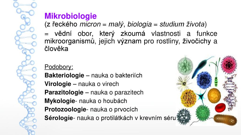 Mikrobiologie Epidemiologie Imunologie A Hygiena St Ppt St Hnout